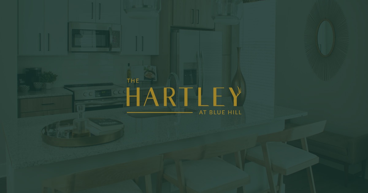 Studio 1 2 3 Bedrooms In Chapel Hill NC Floor Plans studio-1-2-3-bedrooms-in-chapel-hill-nc-floor-plans